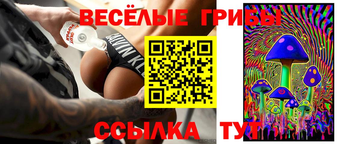 Галлюциногенные грибы Cubensis Луга