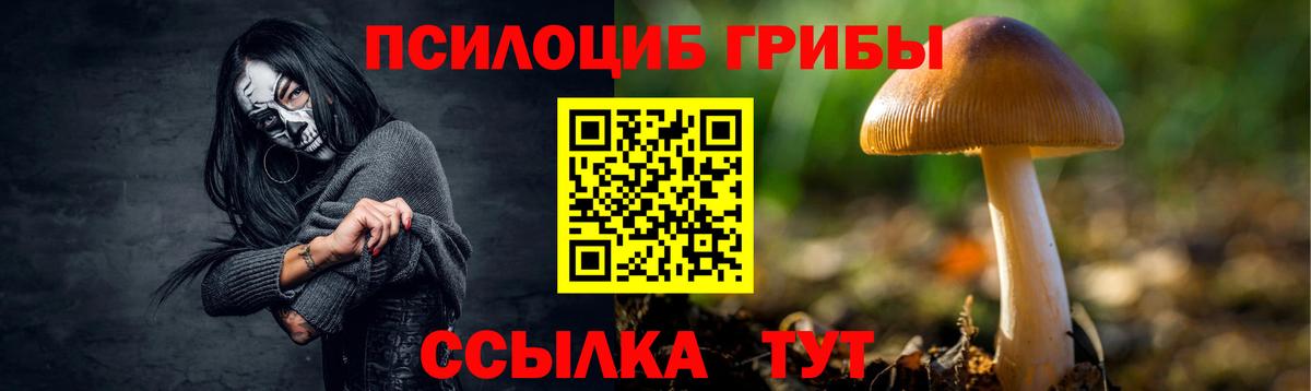Галлюциногенные грибы GOLDEN TEACHER  Вход с VPN  Луга 