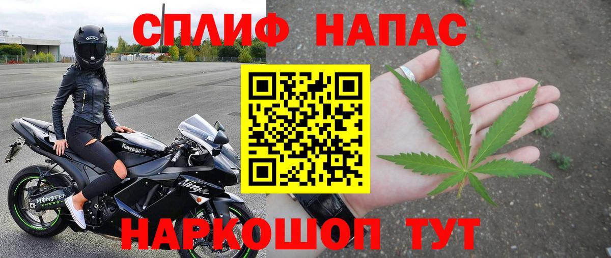 Конопля конопля Луга